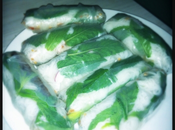 Rice Paper Rolls with Tempeh