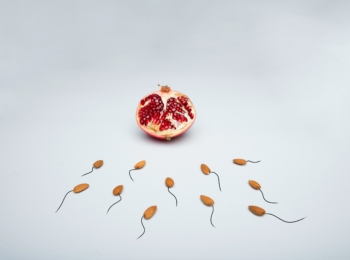 Sperm Health