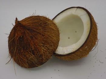 Coconut Oil Podcast